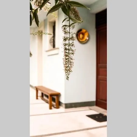 Residential House Villa *